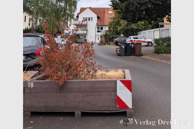 Foto: Gemeinde
Ein "patenloser" Pflanzkübel in der Rossertstraße...
