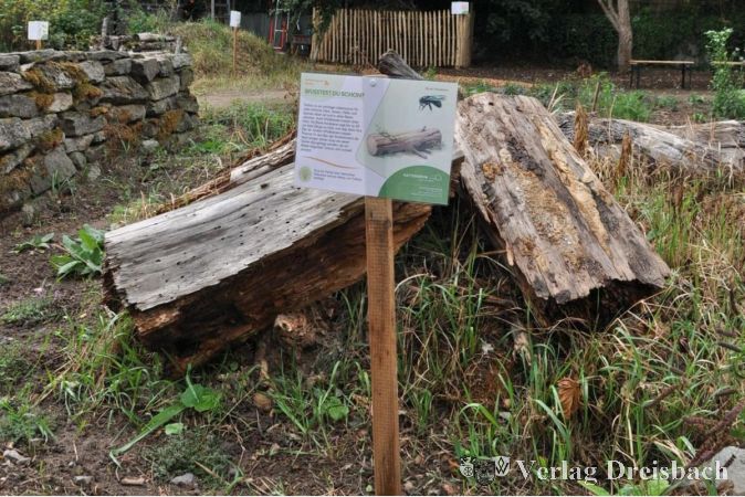 Foto: Stadt Hattersheim
Habitat aus Totholz.
