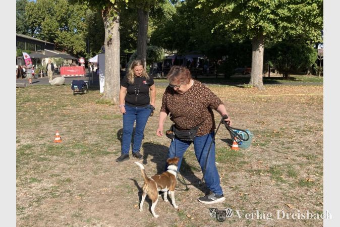 Foto: hl
Foxterrierhündin Hilde übt mit ihrem Frauchen Helga Götz (rechts) unter der Anleitung von Antonella Lotz den Slalom.