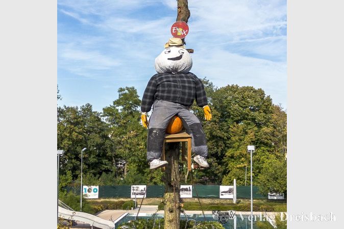 Foto: FFC-TWF
Kerbepuppe „Johann“ konnte vom Samstagnachmittag an die Aussicht vom Kerbebaum genießen - bis zur Beerdigung der diesjährigen Kerb am Dienstagabend.