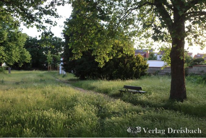 Archivbild: gus
Ruht sanft, soll aber etwas weniger verwachsen und umgestaltet zu einem "Bürgerpark" werden. Die Stadtverordnetenversammlung will die Planungen am Alten Weilbacher Friedhof jedoch nicht auf dem Weg vorantreiben, wie es der städtische Förderantrag zum Ziel hatte.