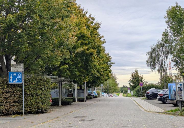Die Friedrich-Ebert-Straße im letzten Abschnitt bis zur Kreuzung zur Astrid-Lindgren-Straße.