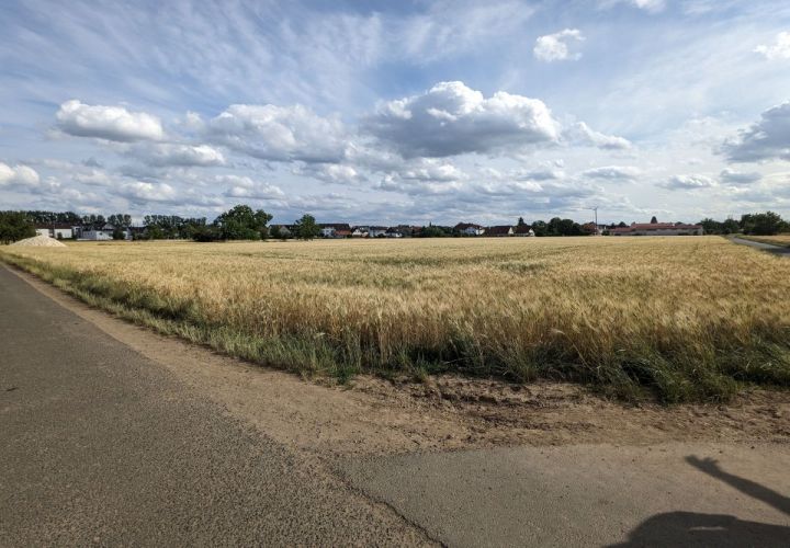 Hier soll das neue Quartier am Ortseingang des Stadtteils Eddersheim entstehen.
