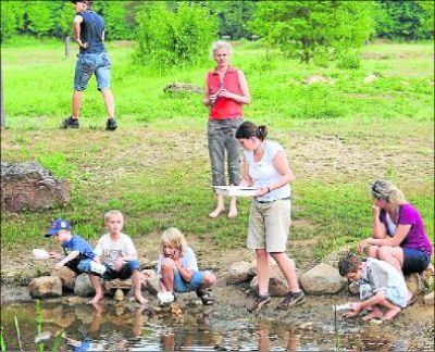 Über das Leben im Teich Verlag Dreisbach Online